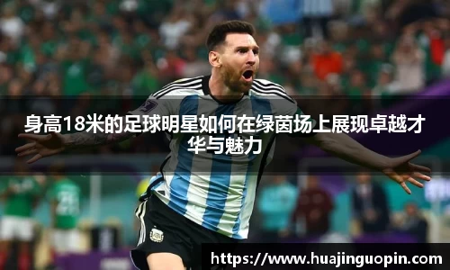 身高18米的足球明星如何在绿茵场上展现卓越才华与魅力