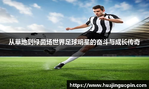 从草地到绿茵场世界足球明星的奋斗与成长传奇